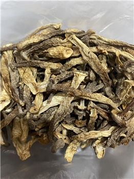 干鹿茸菇小袋装