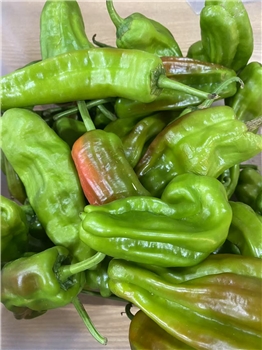 虎皮青椒薄皮500g