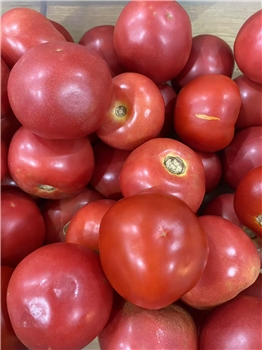 本地西红柿