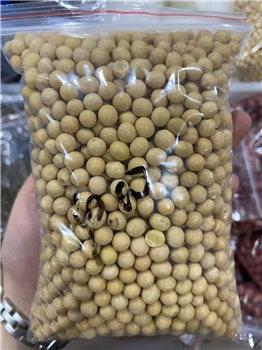 本地黄豆
